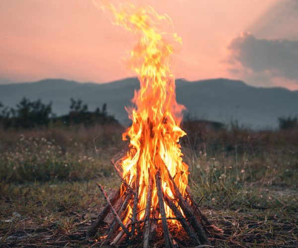 Fire from firewood The bonfire in the evening