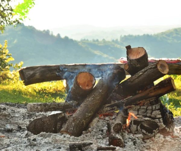 closeup-of-campfire-in-nature-2025-03-10-10-07-51-utc