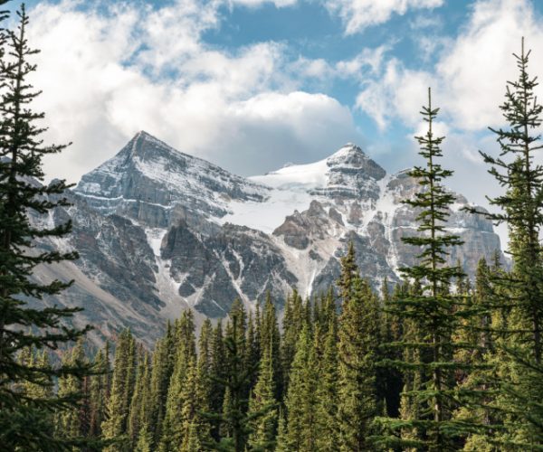 rocky-mountains-with-pine-forest-and-blue-sky-at-b-2025-03-26-00-51-29-utc (1)