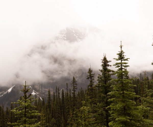 scenic-view-of-majestic-mountain-peaks-shrouded-in-2025-02-11-21-53-44-utc (1)